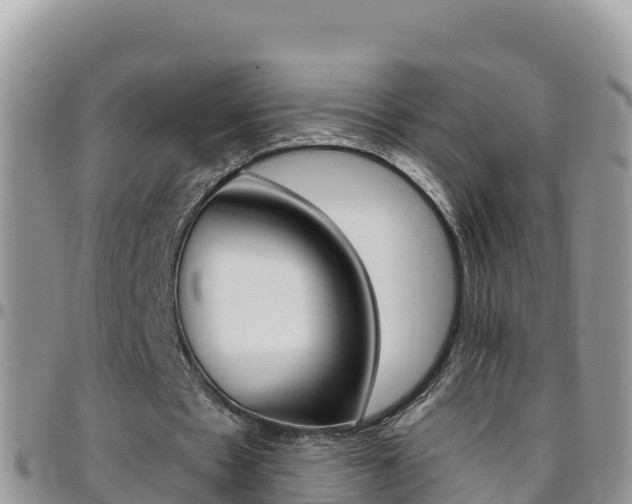 X0000096200481200801181034