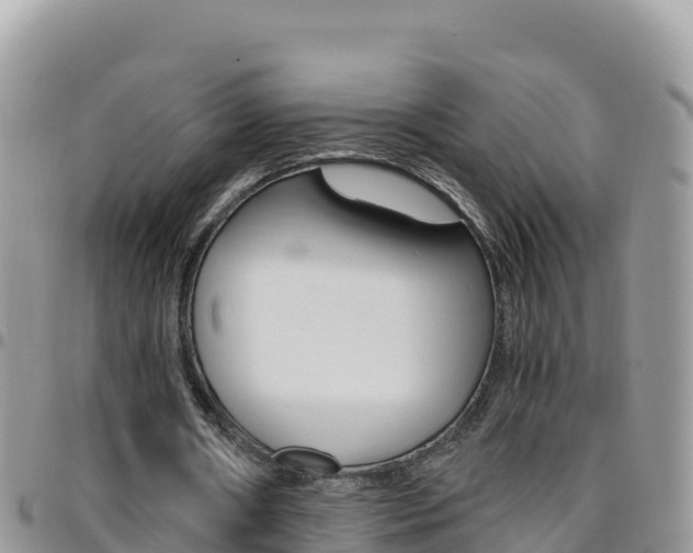 X0000096200482200801181034