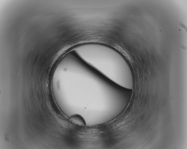 X0000096200483200801181034