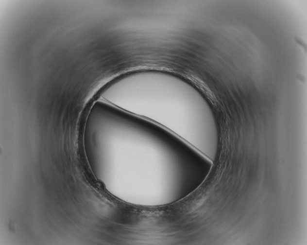 X0000096200484200801181034