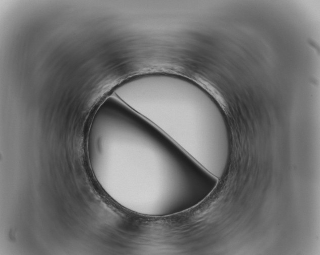 X0000096200485200801181034