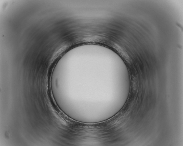 X0000096200486200801181034
