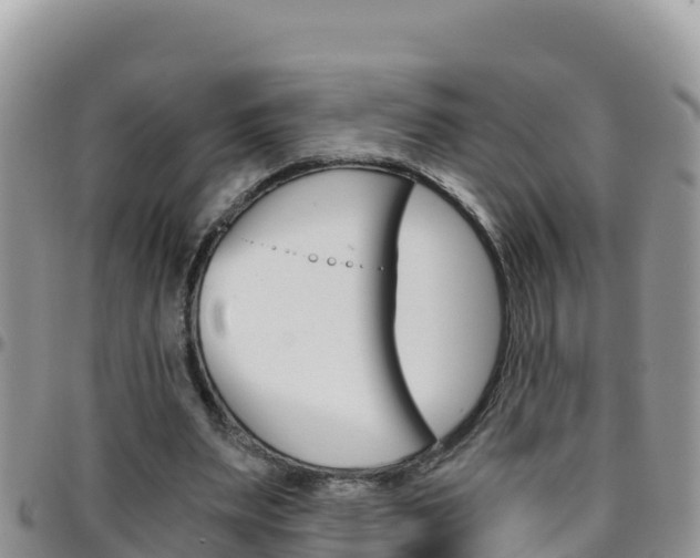 X0000096200487200801181034