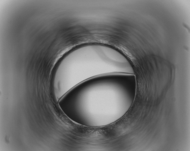 X0000096200488200801181034
