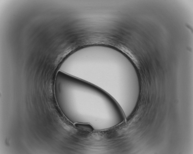 X0000096200489200801181034
