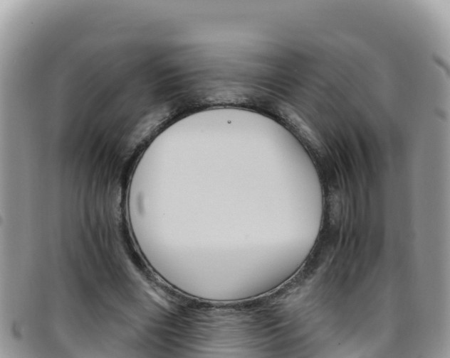 X0000096200490200801181034