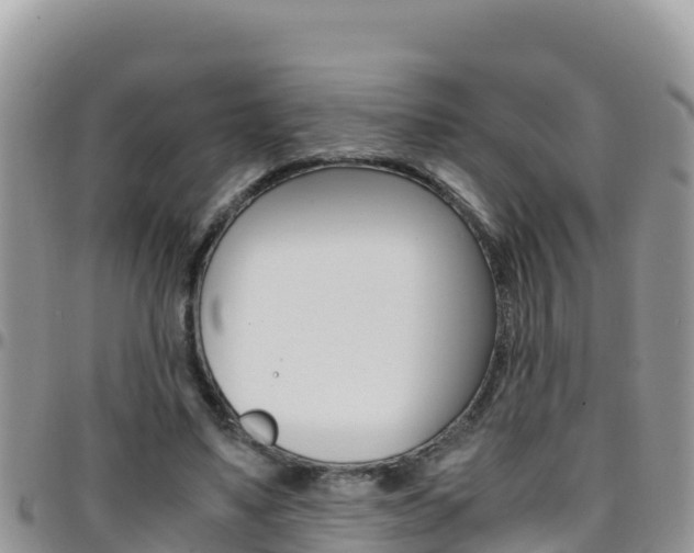 X0000096200491200801181034