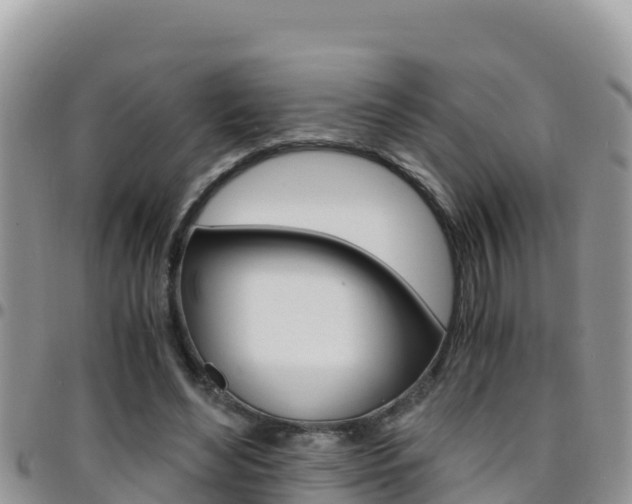 X0000096200492200801181034