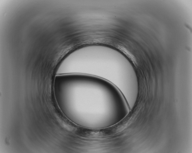 X0000096200493200801181034