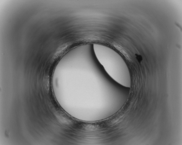 X0000096200494200801181034