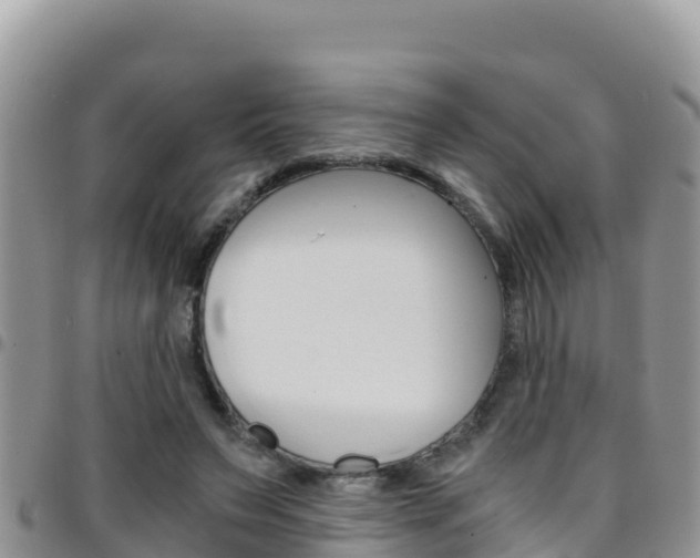 X0000096200495200801181034