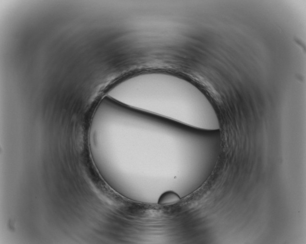 X0000096200496200801181034