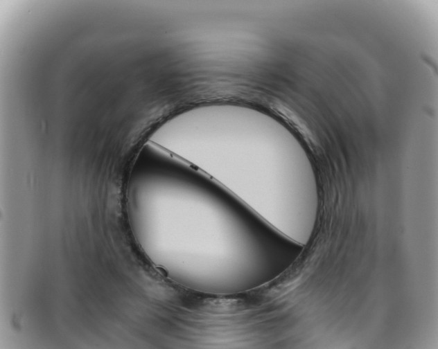 X0000096200497200801181034