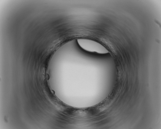 X0000096200498200801181034
