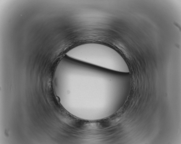 X0000096200499200801181034