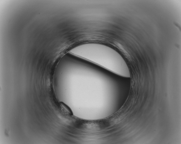 X0000096200500200801181034