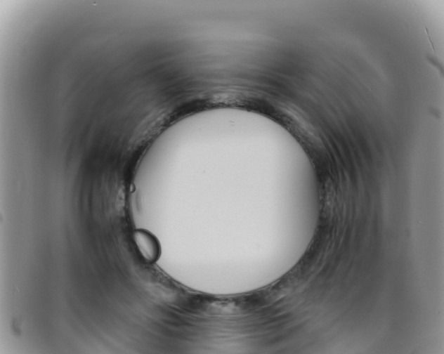 X0000096200502200801181034