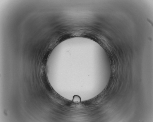 X0000096200503200801181034