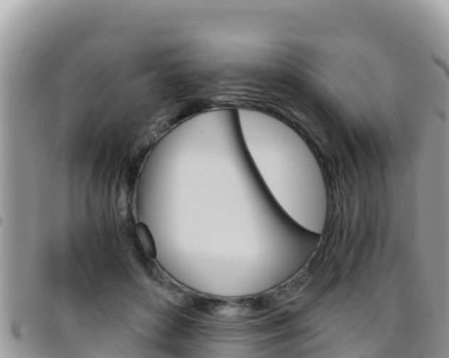 X0000096200504200801181034