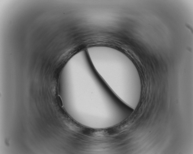 X0000096200505200801181034