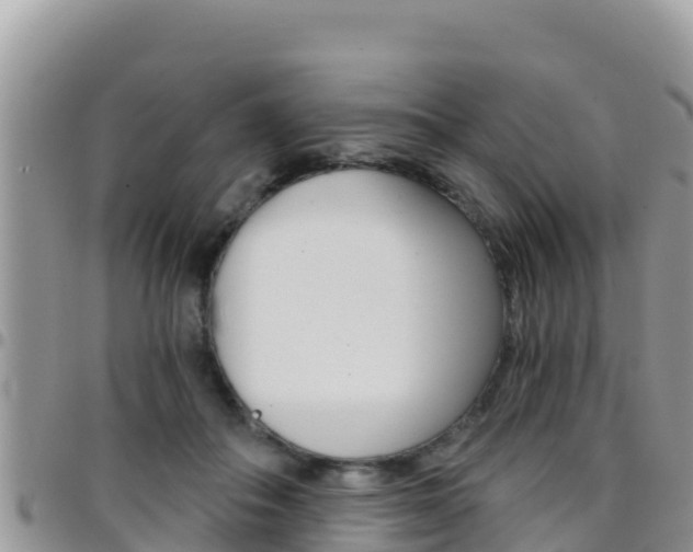 X0000096200506200801181034