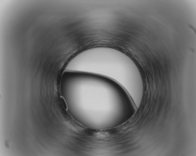 X0000096200508200801181034