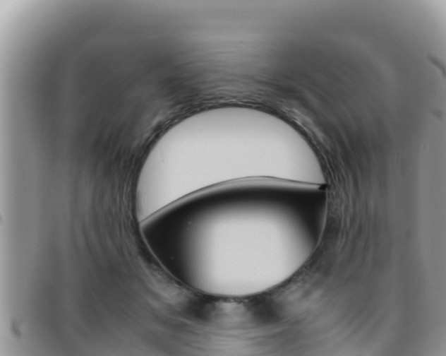 X0000096200509200801181034