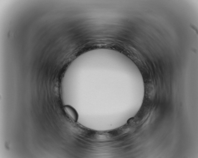 X0000096200510200801181034
