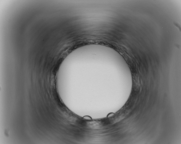 X0000096200511200801181034