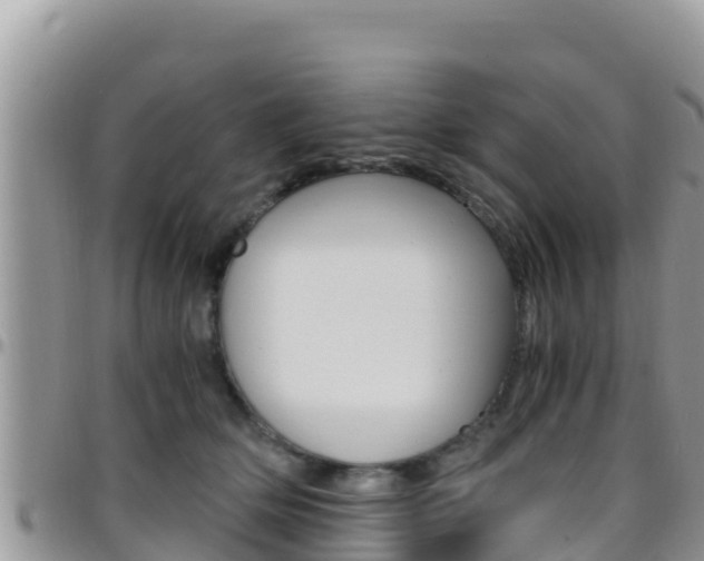 X0000096200514200801181034