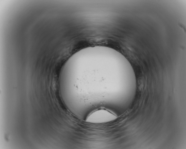 X0000096200515200801181034