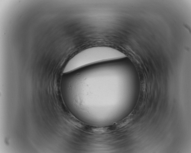 X0000096200516200801181034