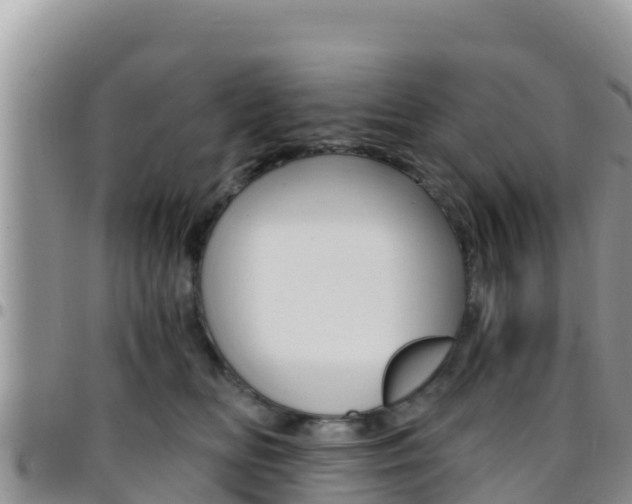 X0000096200518200801181034