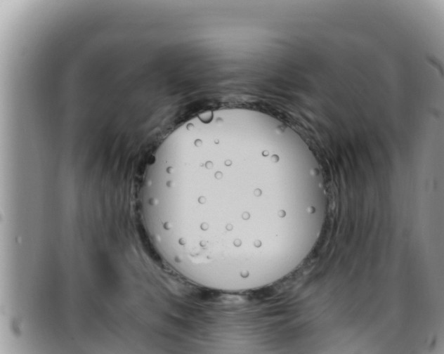 X0000096200519200801181034