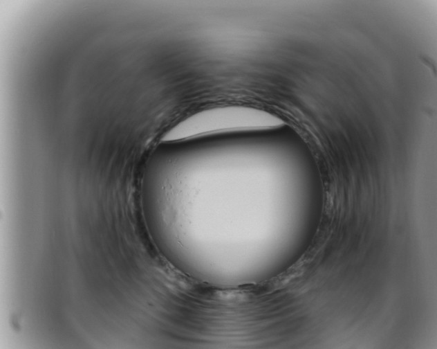 X0000096200520200801181034