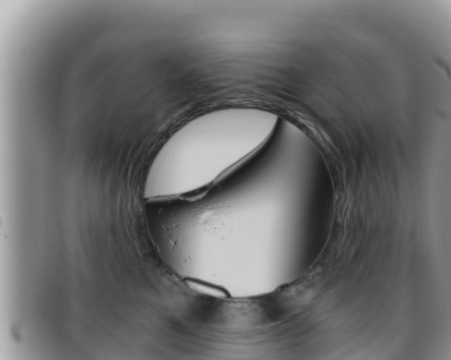 X0000096200521200801181034