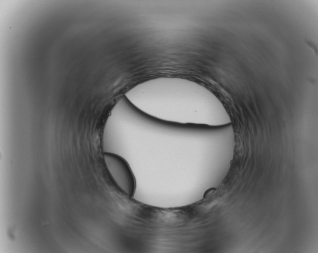 X0000096200523200801181034