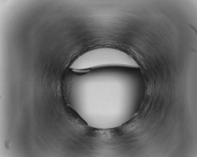 X0000096200524200801181034