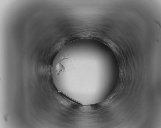 X0000096200525200801181034