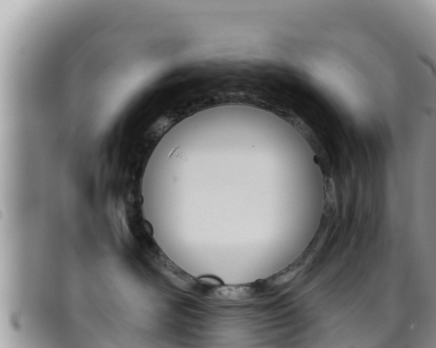 X0000096200526200801181034