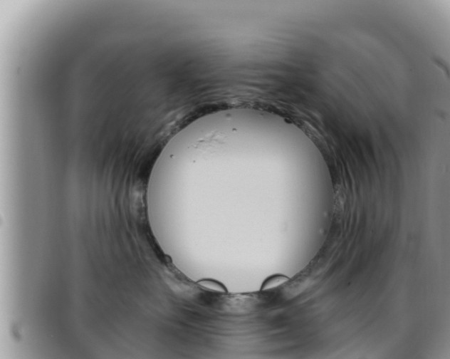 X0000096200527200801181034