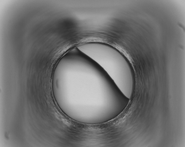 X0000096200529200801181033