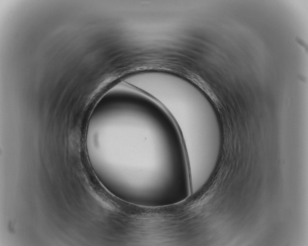 X0000096200530200801181033