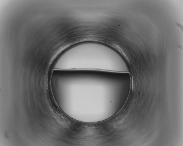 X0000096200531200801181033