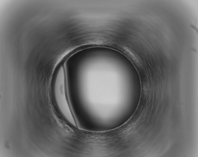X0000096200532200801181033