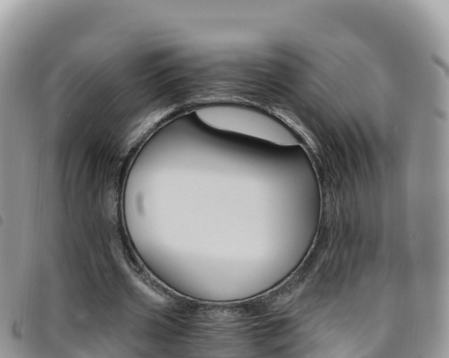 X0000096200533200801181033