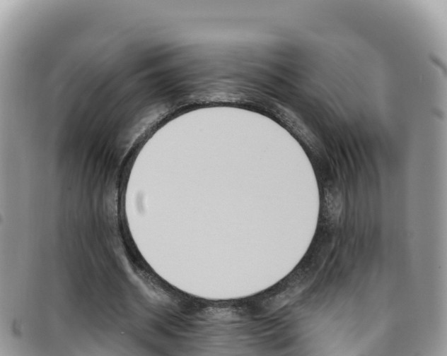 X0000096200534200801181033