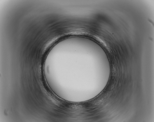 X0000096200535200801181033
