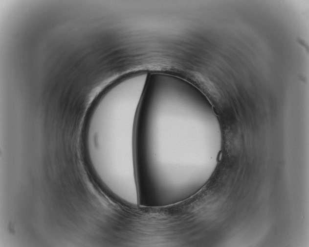 X0000096200536200801181033