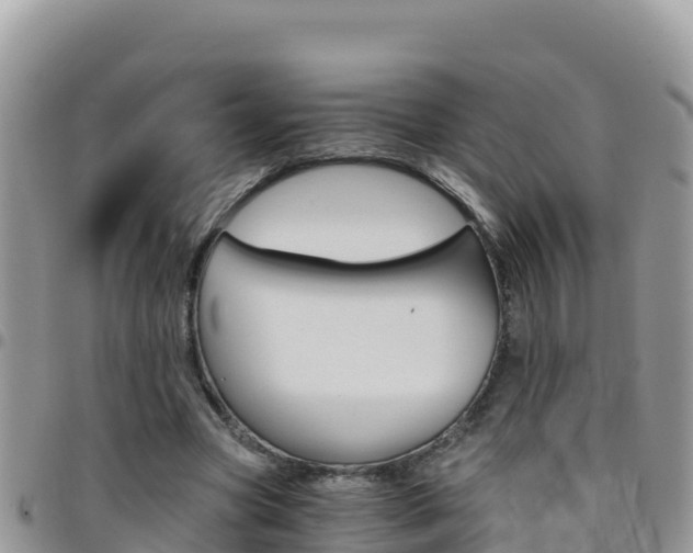 X0000096200537200801181033